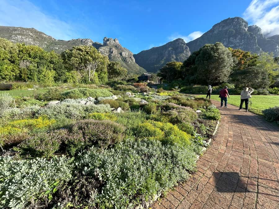 Cape Town: Half Day Table Mountain & Kirstenbosch Gardens - What the morning adds up to: why this combo works