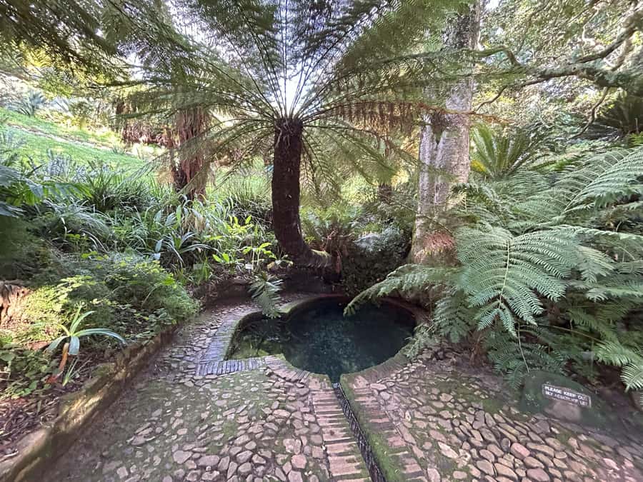 Cape Town: Half Day Table Mountain & Kirstenbosch Gardens - Logistics that matter (and the small details that can save your day)
