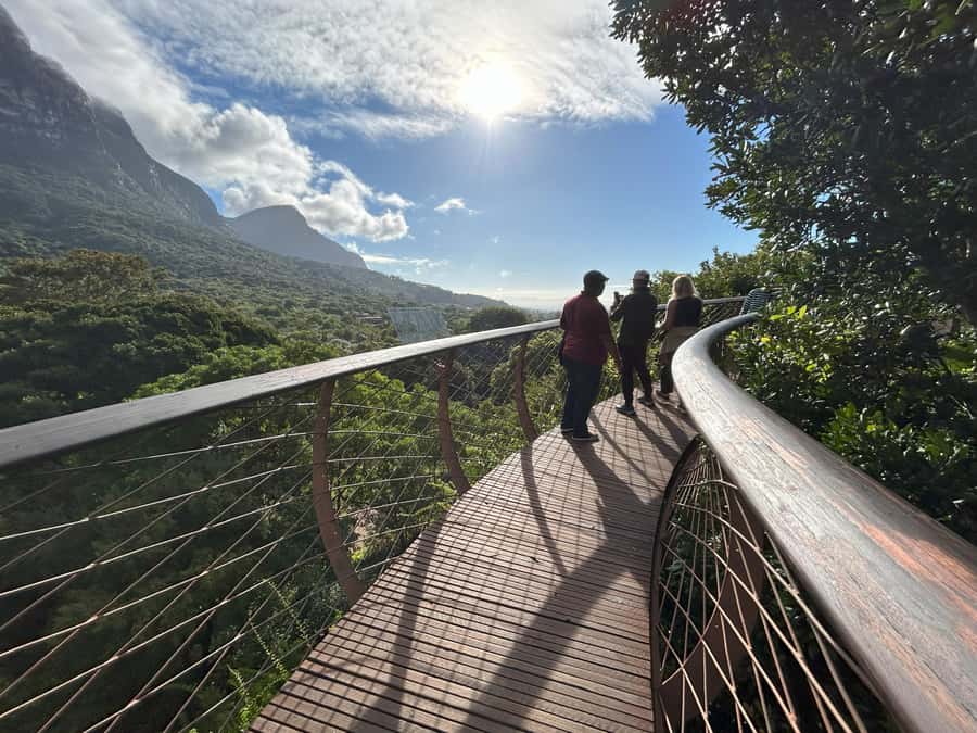 Cape Town: Half Day Table Mountain & Kirstenbosch Gardens - Who this tour is best for