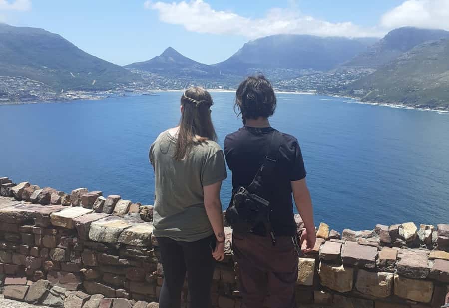 Cape Town: Halfday African Penguin tour - Key Points at a Glance