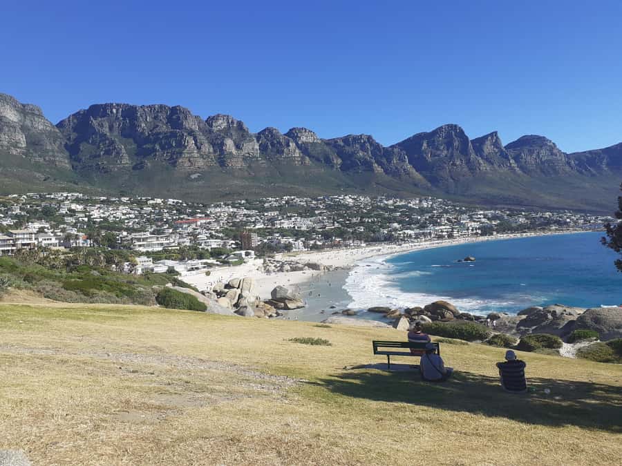 Cape Town: Halfday African Penguin tour - Small Group, Rain or Shine, and Comfort on the Road