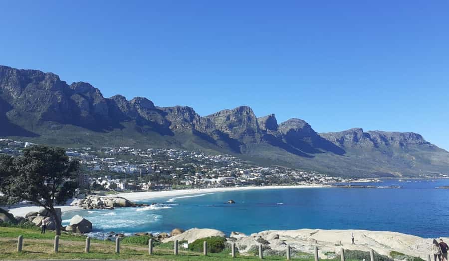 Cape Town: Halfday African Penguin tour - Bo-Kaap Color Streets: Photos First, Context Right After