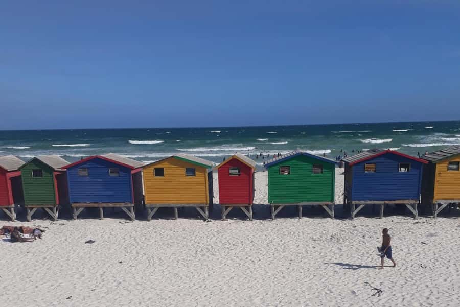 Cape Town: Halfday African Penguin tour - Noordhoek Coffee Break: A Real Taste of the Coast