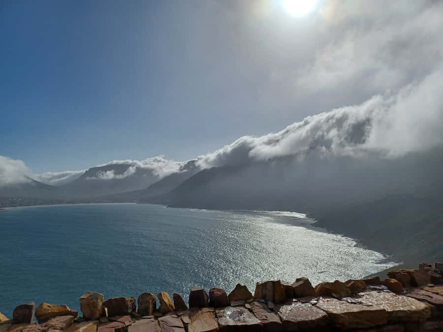 Cape Town: Halfday African Penguin tour - Price and Value: Is $77 a Fair Deal?
