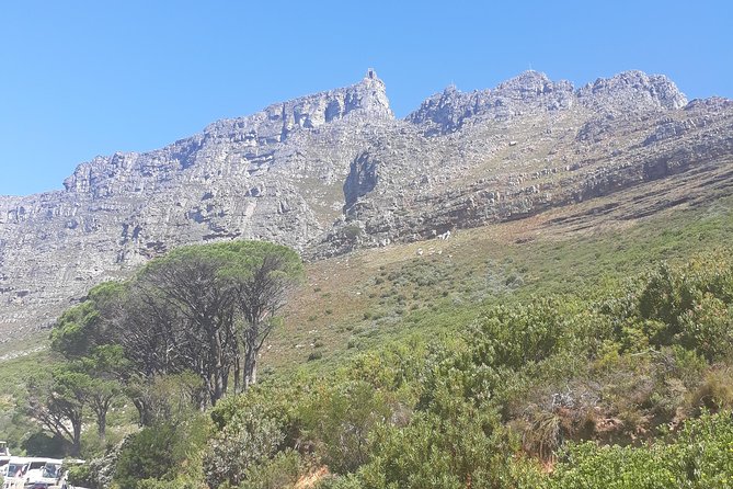 Cape Town Halfday City and Table Mountain Tour - FAQ