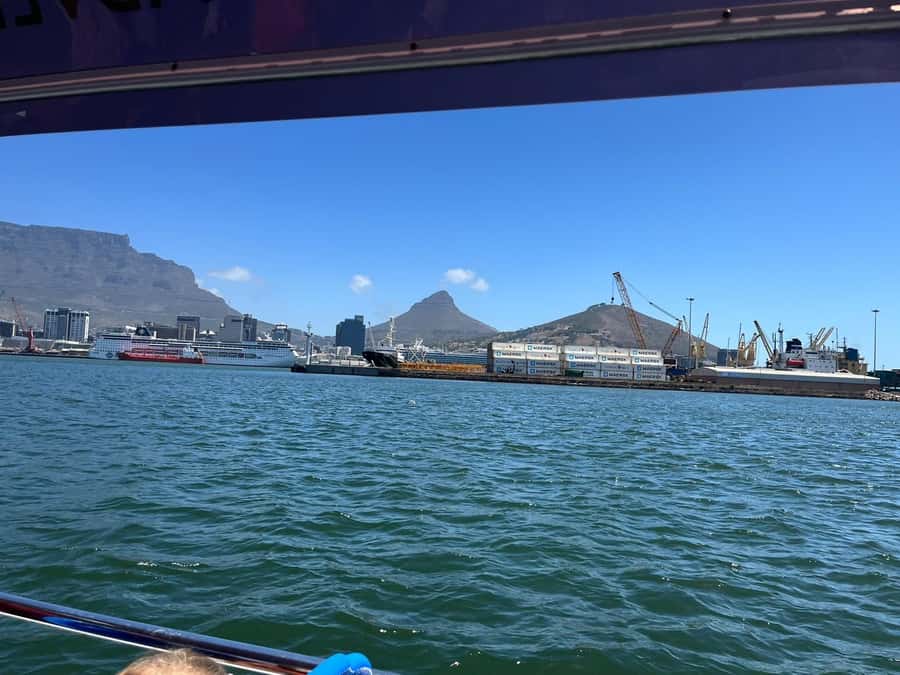 Cape Town: Harbor Cruise - Why this harbor cruise works in Cape Town
