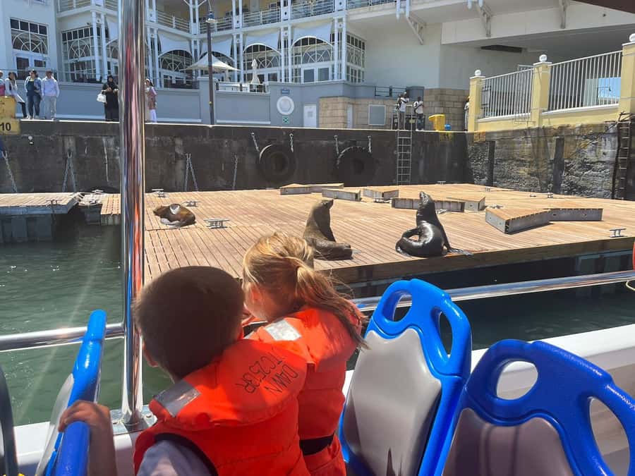 Cape Town: Harbor Cruise - The V&A Waterfront photo stop: what to catch before you board