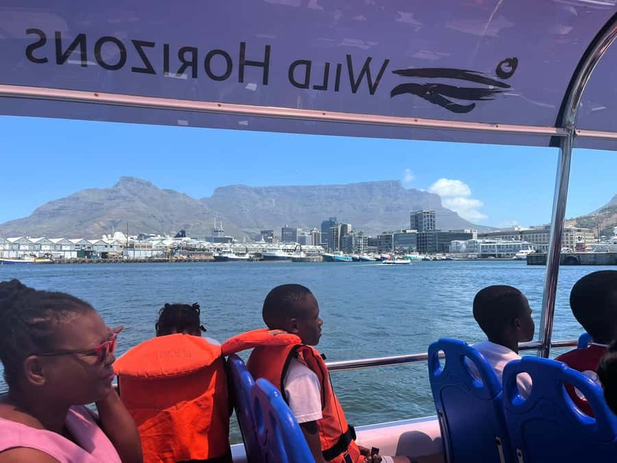 Cape Town: Harbor Cruise - Out on the harbor: seals, gulls, and the working port feeling