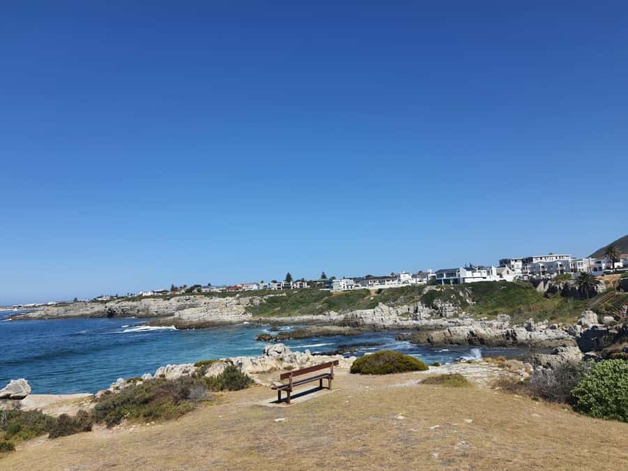 Cape Town: Hermanus Whale Watching Shared Boat & Penguins - Whale-Spotting from Hermanus New Harbour: What the Boat Day Feels Like