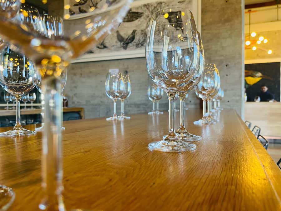 Cape Town: Hermanus Whale Watching Tour - Who this Hermanus whales and wine day is best for