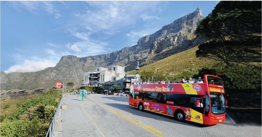 Cape Town: Hop-On Hop-Off Bus Tour with Optional Cruise - What the Hop-On Hop-Off System Really Does for Your Day