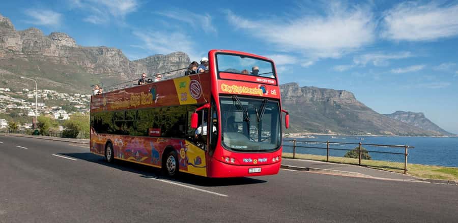 Cape Town: Hop-On Hop-Off Bus Tour with Optional Cruise - District Six and City Stops That Help You Understand Cape Town