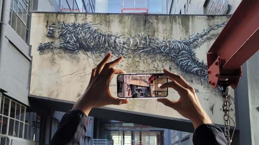 Cape Town: Inspiring sustainable change through Street Art - Key highlights you’ll care about