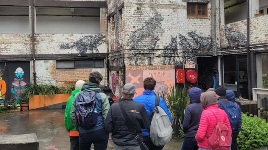 Cape Town: Inspiring sustainable change through Street Art - Murals as messages: how you’ll read symbols, color, and placement