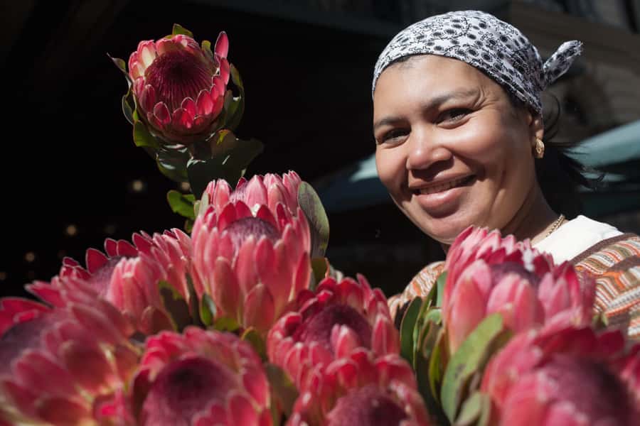 Cape Town: Introductory City Tour by Foot and Minibus - Bo-Kaap and the Cape Malay Quarter: Color, Cobblestones, and Meaning