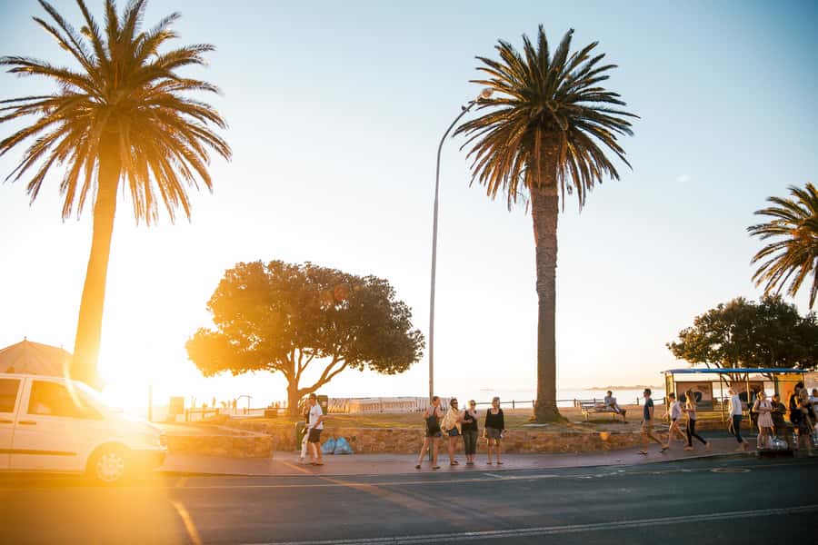 Cape Town: Introductory City Tour by Foot and Minibus - The Atlantic Seaboard Drive Through Camps Bay and Clifton