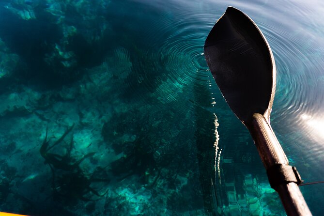 Cape Town Kayak Adventure in Table Mountain Marine Reserve - Choosing the route: Clifton, V&A Waterfront, and the Granger Bay-style stretch