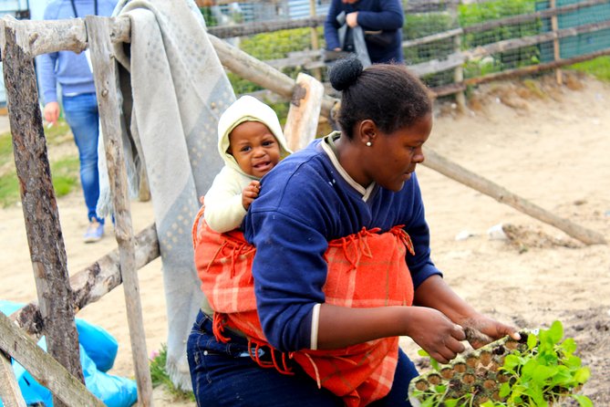 Cape Town Khayelitsha Township Tour - Price at $49.06: what you’re really paying for