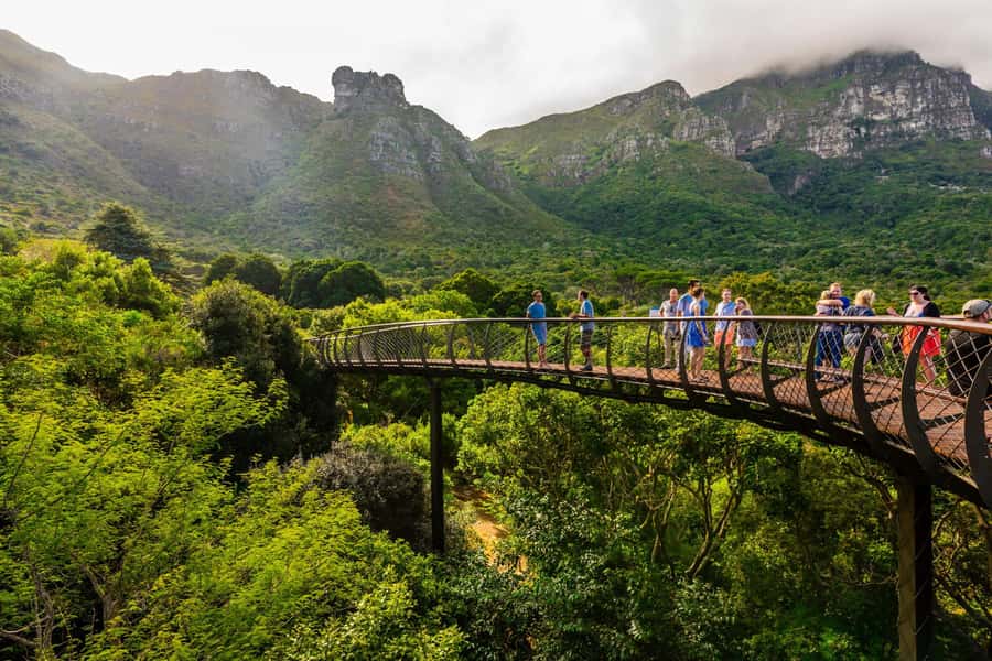 Cape Town: Kirstenbosch Botanical Garden Entry Ticket - The Boomslang Tree Canopy Walkway: Your Best Views in One Ticket