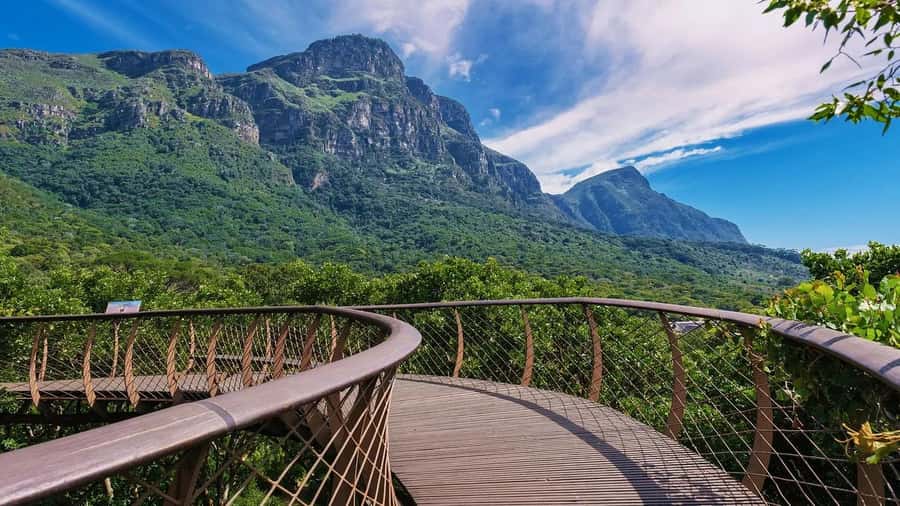 Cape Town: Kirstenbosch Botanical Garden Entry Ticket - Fynbos Garden: Aromatic Plants That Tell a Cape Story