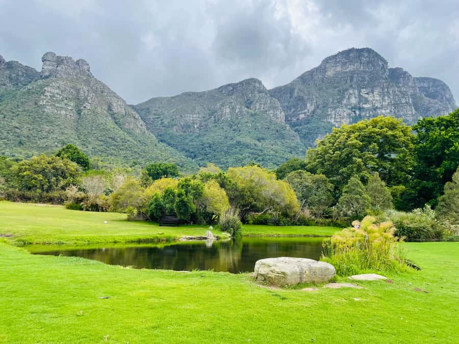 Cape Town: Kirstenbosch Botanical Garden Entry Ticket - Succulent Garden: Learning Through Texture and Color