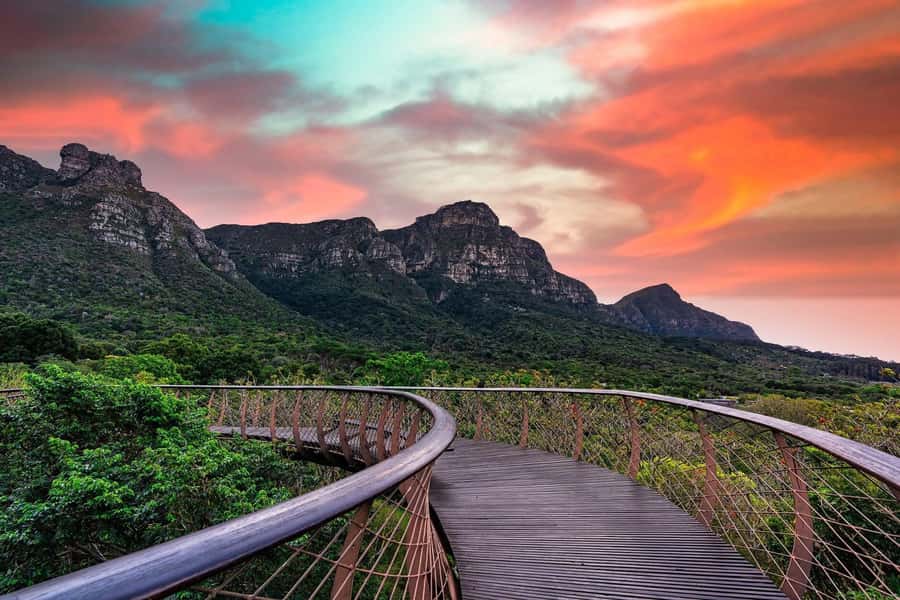 Cape Town: Kirstenbosch Botanical Garden Entry Ticket - Practical Tips That Make the Difference