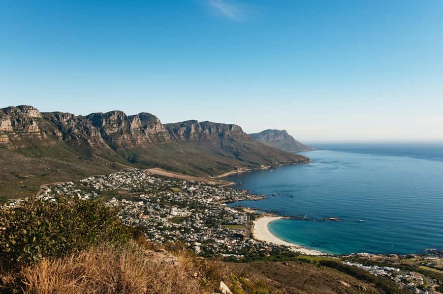 Cape Town: Lion's Head Guided Hike at Sunset - Wildlife, Flora, and Stories You Can Actually Use