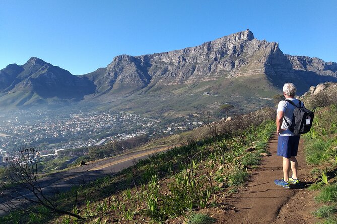 Cape Town: Lion's Head Hike - Meet your guide, and why Lynette’s style matters on this route