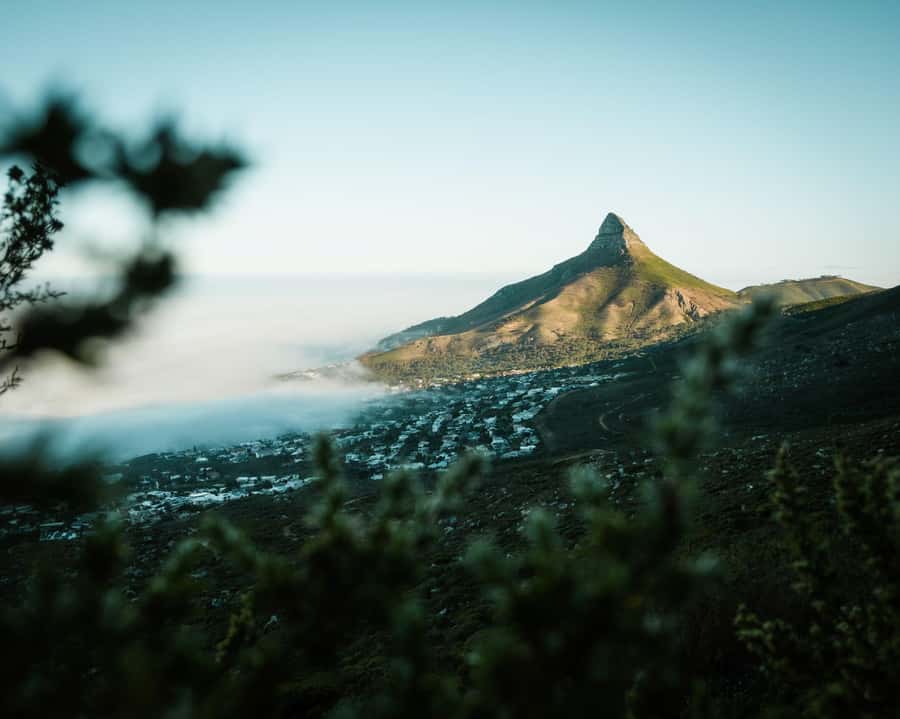 Cape Town: Lion's Head Hiking Experience - Safety briefing first, then a guided climb you can trust
