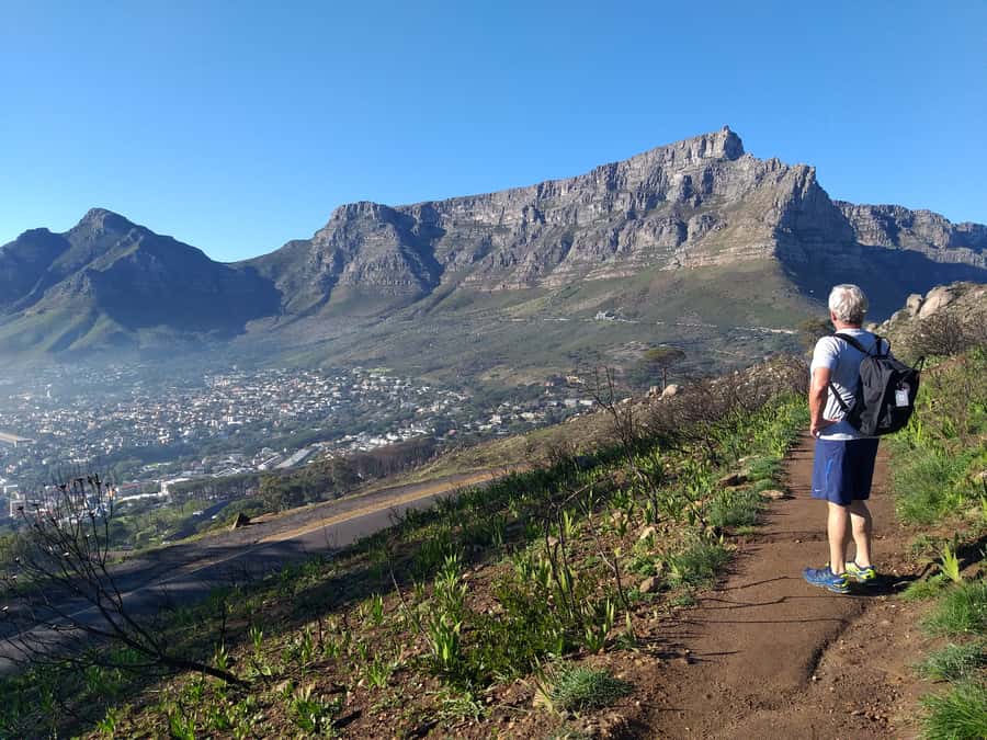 Cape Town: Lion's Head Sunrise Hike - Who This Sunrise Hike Is Best For (And Who Might Prefer Another Option)
