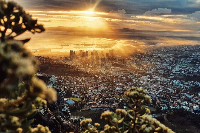 Cape Town: Lion's Head Sunrise/Sunset Hike - Weather Reality: The Hike Runs in Most Conditions, But It Needs Good Weather