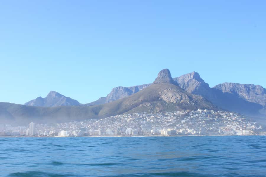 Cape Town: Marine Big 5 Ocean Safari from V&A Waterfront - Who this safari fits best, and who should skip it