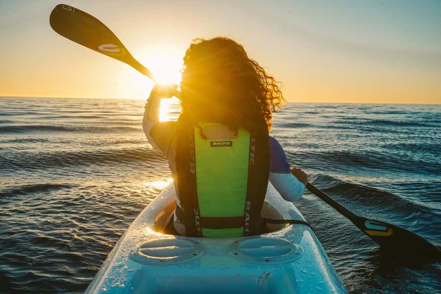 Cape Town: Marine Life Kayak Tour From the V&A Waterfront - Scenic payoff beyond the waterline: Lion’s Head, Signal Hill, the Twelve Apostles, and a shipwreck