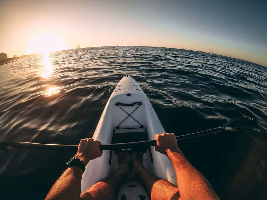 Cape Town: Marine Life Kayak Tour From the V&A Waterfront - Guides, kayaks, and first-time comfort: what makes it feel safe and easy