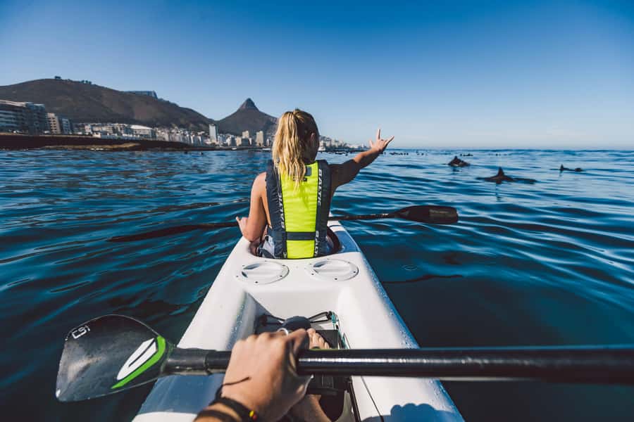 Cape Town: Marine Life Kayak Tour From the V&A Waterfront - Price and value: what $37 gets you and how to judge if it is worth it