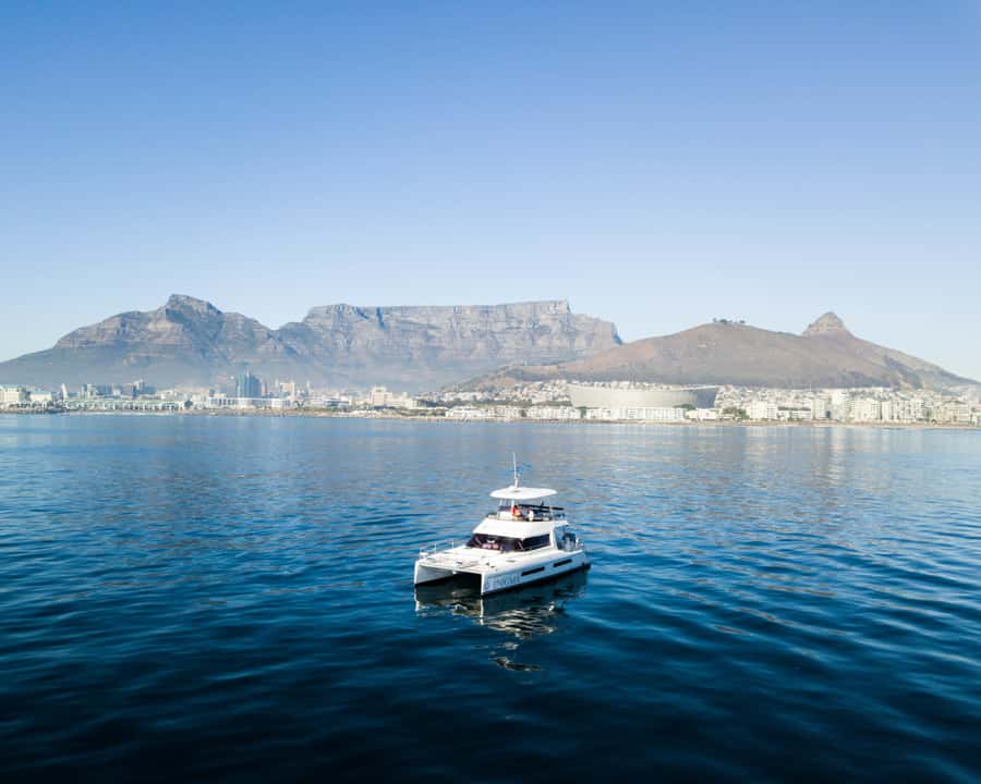 Cape Town: Morning Cruise with Prosecco - Key Highlights You’ll Feel Right Away