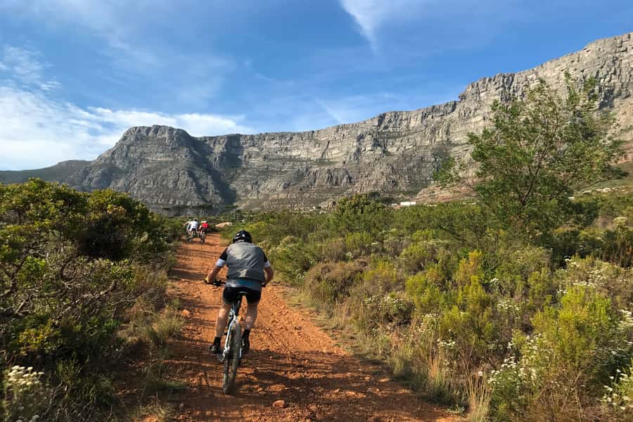 Cape Town: Mountain Biking Trip along Table Mountain - Hotel pickup to Constantia Neck: the route begins with setup