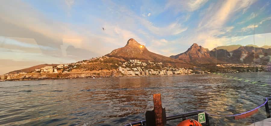 Cape Town: Ocean Safari 1 Hour - Key things to know before you go