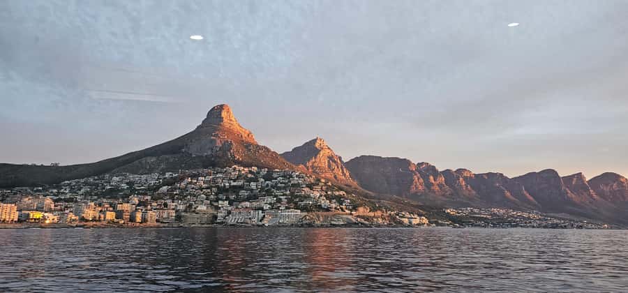 Cape Town: Ocean Safari 1 Hour - FAQ