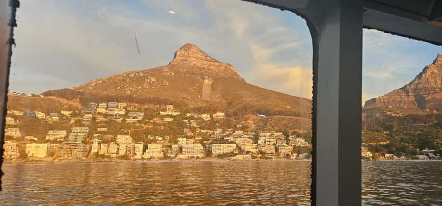Cape Town: Ocean Safari 1 Hour - From V&A Waterfront departures to open Atlantic views