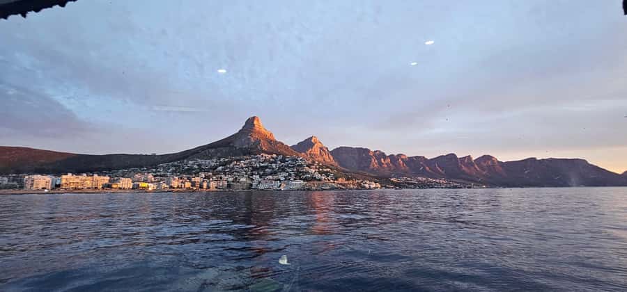 Cape Town: Ocean Safari 1 Hour - The guide onboard: facts, local context, and seat choice