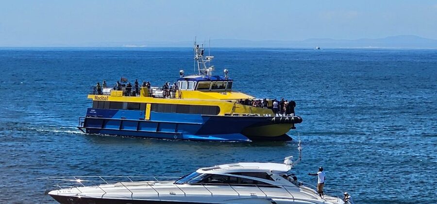 Cape Town: Ocean Safari 1 Hour - Comfort, timing, and what to bring for a windy hour