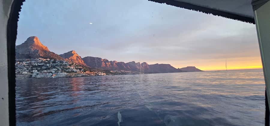Cape Town: Ocean Safari 1 Hour - Price and value: how $62 fits a Cape Town itinerary