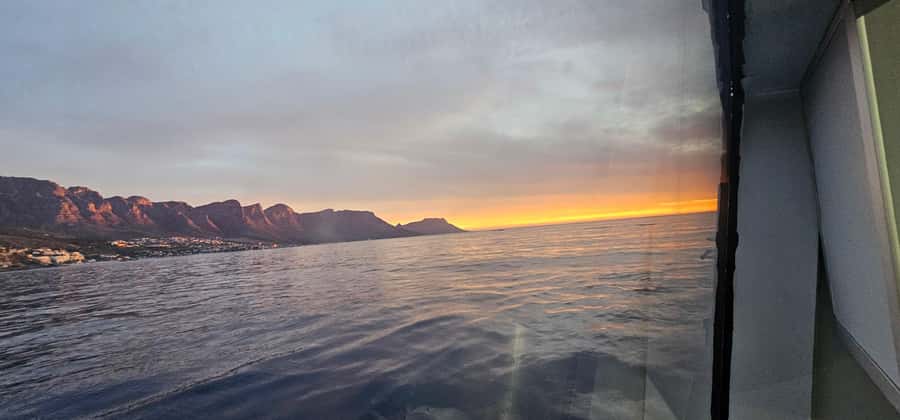 Cape Town: Ocean Safari 1 Hour - Who should book this safari, and who should skip it