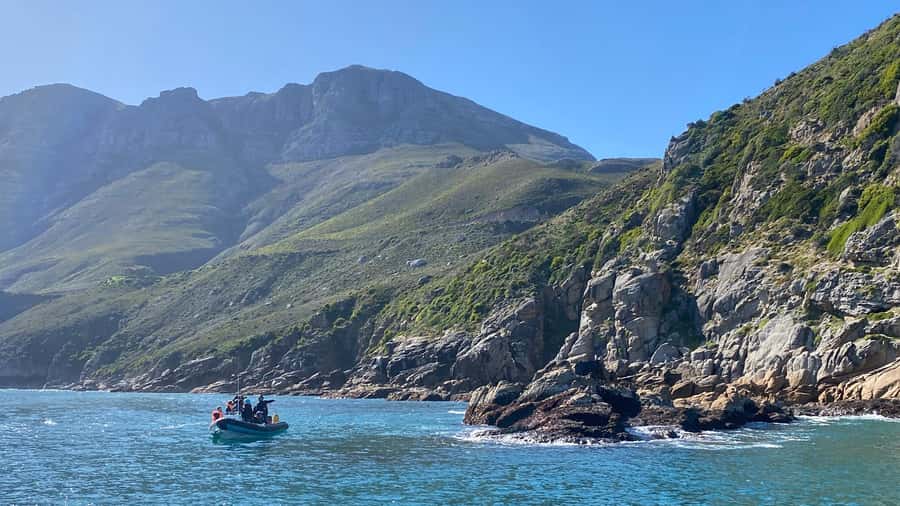 Cape Town: Ocean Safari in Hout Bay - Price and value: does $186 feel fair for 4 hours?
