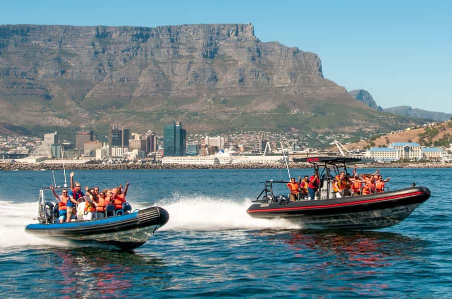 Cape Town Ocean Safari: Speed Boat Adventure in Table Bay - Key Things I’d Prioritize Before You Go