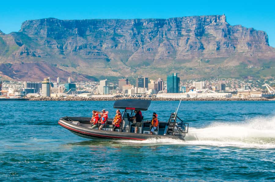 Cape Town Ocean Safari: Speed Boat Adventure in Table Bay - Table Bay Speedboat Safari, the 1-hour combo that really delivers