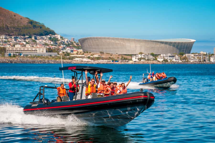 Cape Town Ocean Safari: Speed Boat Adventure in Table Bay - The ride experience: fast out, slow hunt, and frequent viewing chances