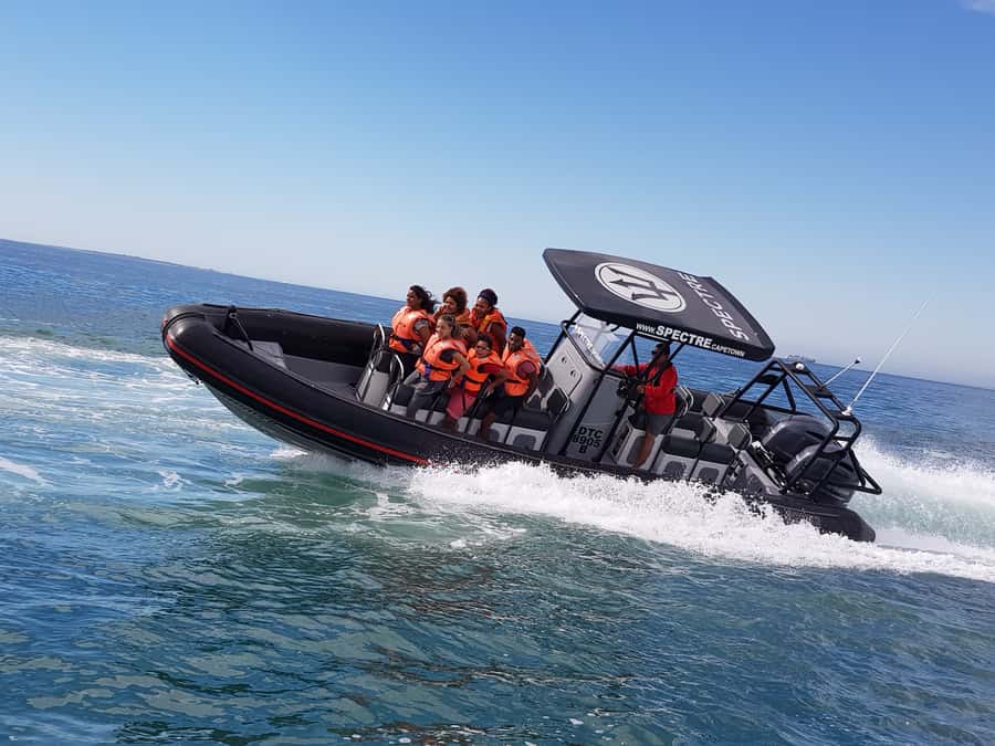 Cape Town Ocean Safari: Speed Boat Adventure in Table Bay - Where to check in at the V&A Waterfront, Quay 5