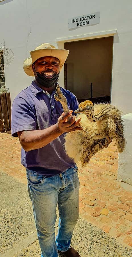 CAPE TOWN: OSTRICH RANCH QUAD BIKE RIDE & OSTRICH TOUR - Quad bike ride at the Ostrich Ranch: what it really feels like